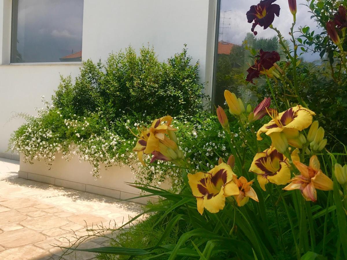 Апарт готель Path House - Etna & Sea View Ріпосто Екстер'єр фото
